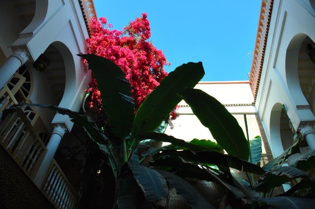 Riad Habib Marrakesh Exterior foto